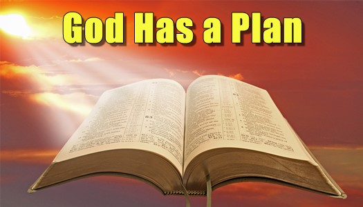 God Has a Plan